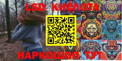 крисы Кингисепп
