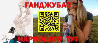 крисы Кингисепп