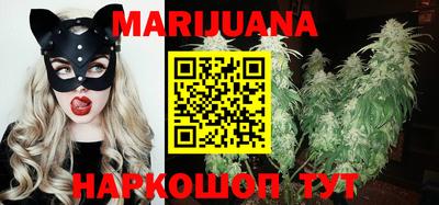 крисы Кингисепп