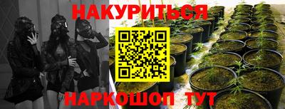 спайс Кимры