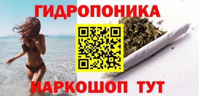 гашик Кинель