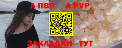 крисы Кингисепп