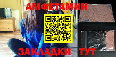 крисы Кингисепп