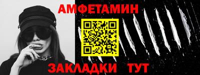 крисы Кингисепп