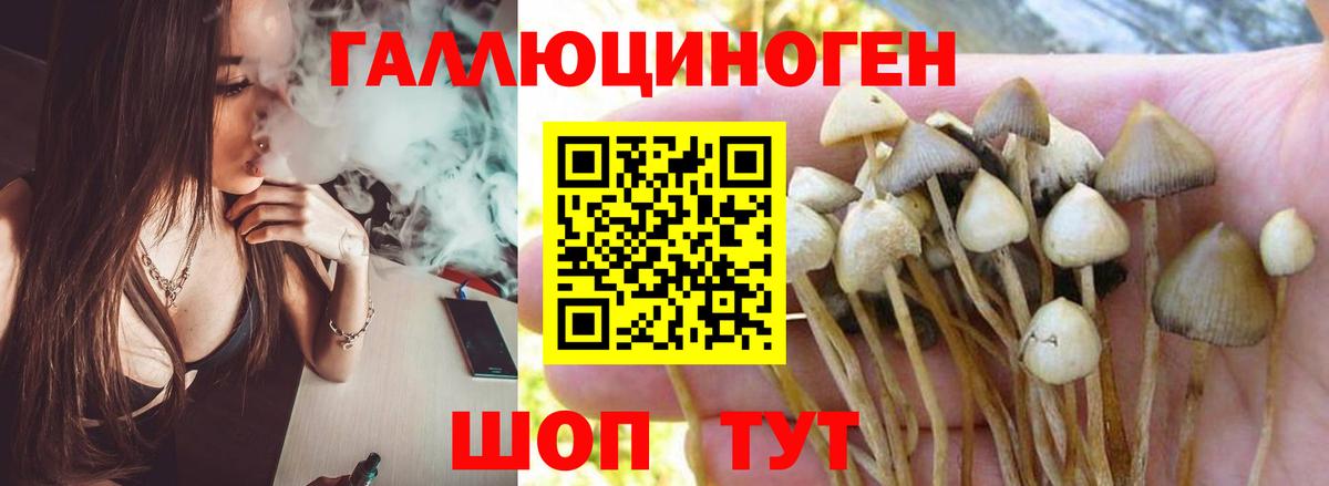 Балашов  Псилоцибиновые грибы мицелий  Вход с VPN 